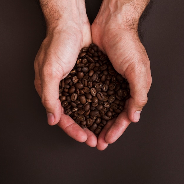 Mani di vista superiore che tengono i chicchi di caffè