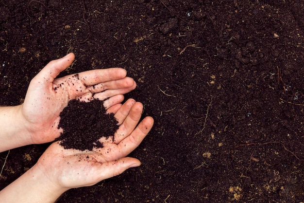 Mani distese piatte con terreno e spazio di copia