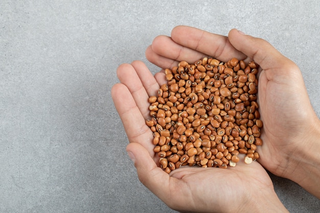 Mani femminili che tengono fagioli nani marroni crudi.