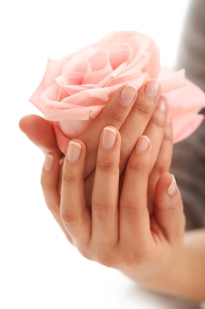 Mani femminili con rosa rosa. Concetto di femminilità