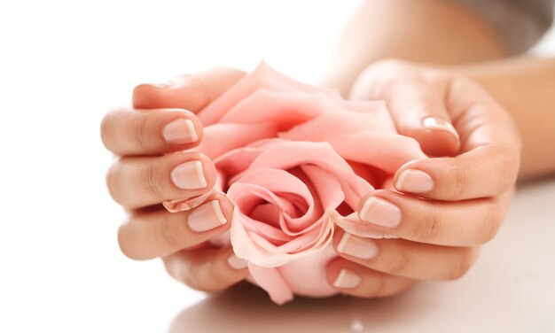 Mani femminili con rosa rosa. Concetto di femminilità