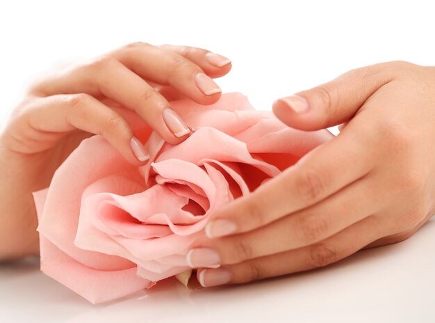Mani femminili con rosa rosa. Concetto di femminilità