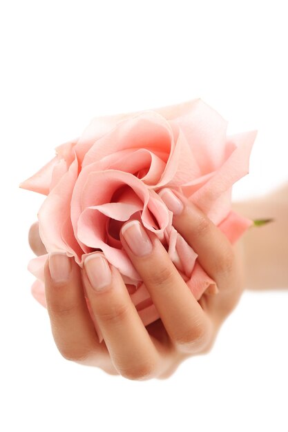 Mani femminili con rosa rosa. Concetto di femminilità