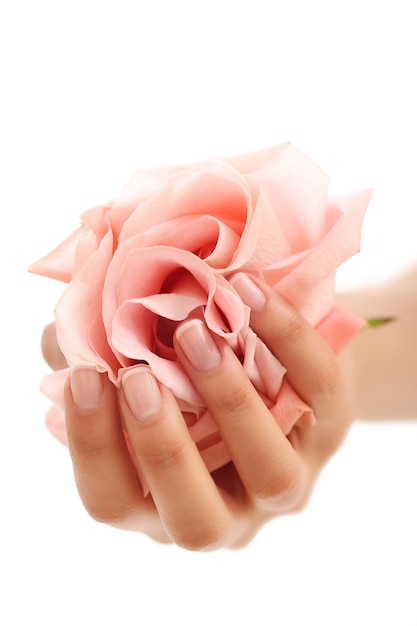 Mani femminili con rosa rosa. Concetto di femminilità