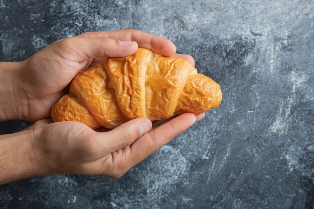 Mani maschili che tengono croissant fresco su sfondo di marmo