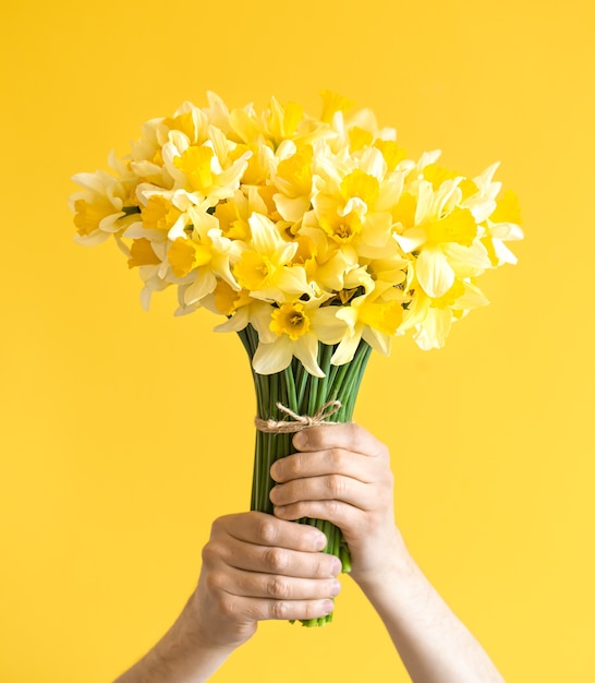 mani maschili con un bouquet di narcisi gialli.