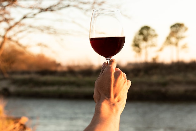 Mano che regge un bicchiere di vino rosso