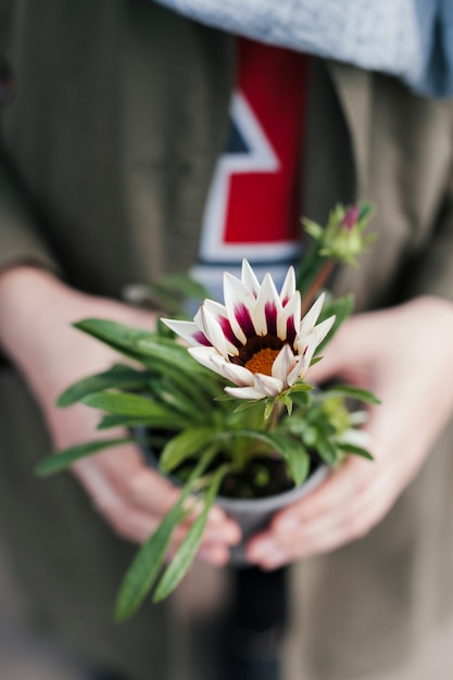 Mano che tiene un vaso di fiori