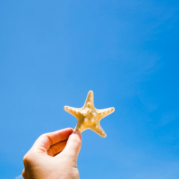 Mano che tiene una stella marina contro il cielo blu