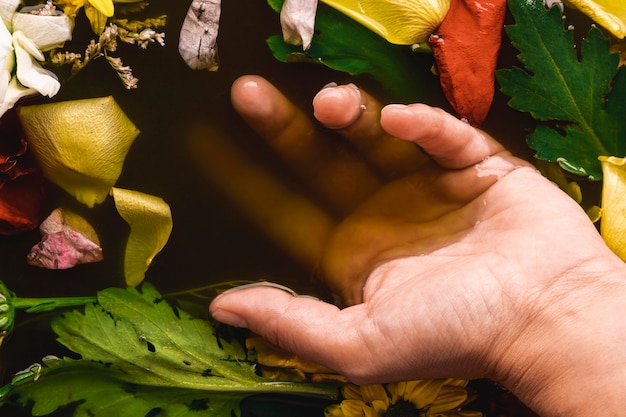 Mano dell'angolo alto in primo piano dell'acqua nera