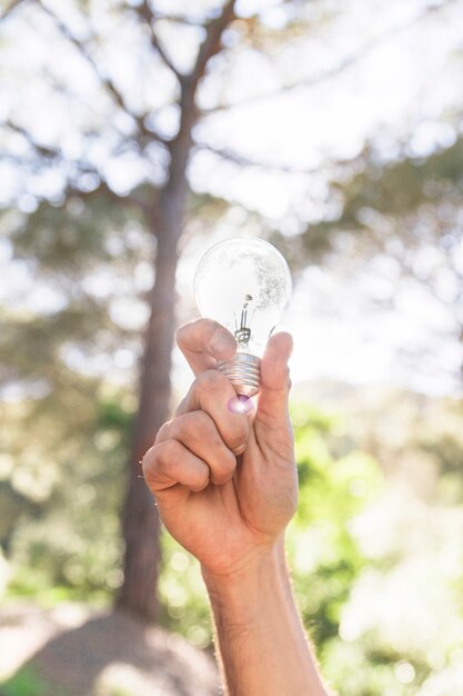 Mano di concetto che tiene lampadina di vetro