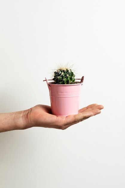 Mano di vista laterale che posa con il cactus