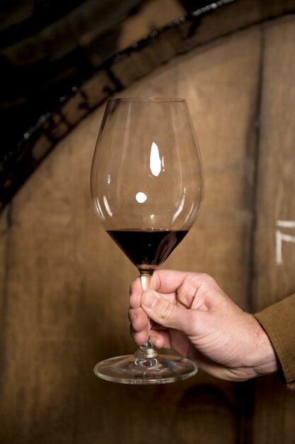 Mano di vista laterale che tiene il bicchiere di vino