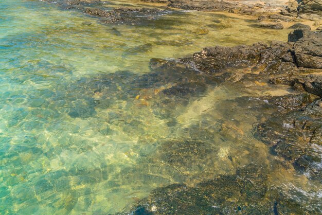 Mare e roccia