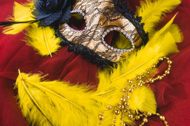 maschera d&#39;oro con piume gialle