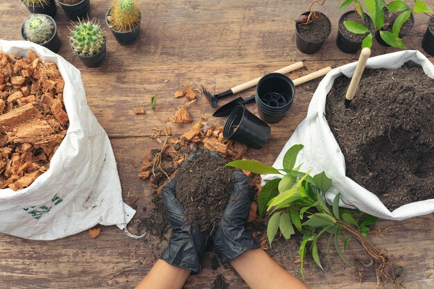 Maschera del primo piano delle mani del giardiniere che pianta pianta