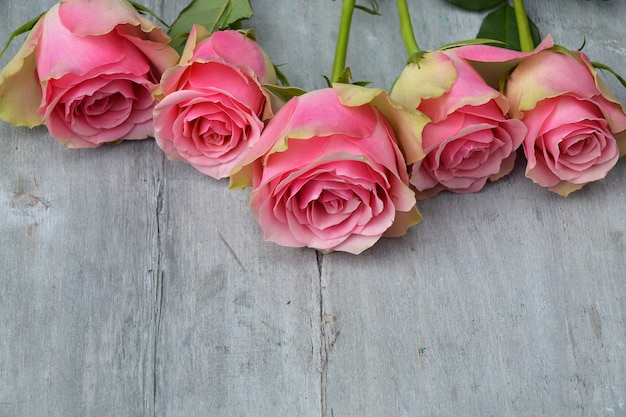 Maschera del primo piano delle rose di velluto rosa su una superficie di legno