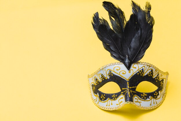 Maschera di carnevale con piume