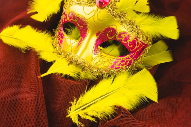 Maschera giallo con le piume gialle intorno