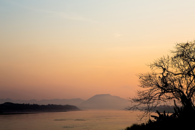 Mattina paesaggio luce del sole con l&#39;albero, e il fiume