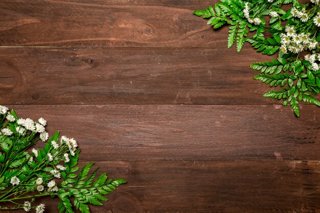 Mazzi di camomille sul tavolo di legno