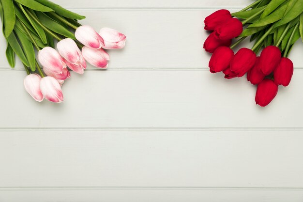 Mazzo dei tulipani rosa e rossi con copia-spazio