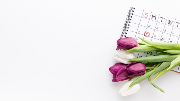 Mazzo dei tulipani sul calendario con lo spazio della copia
