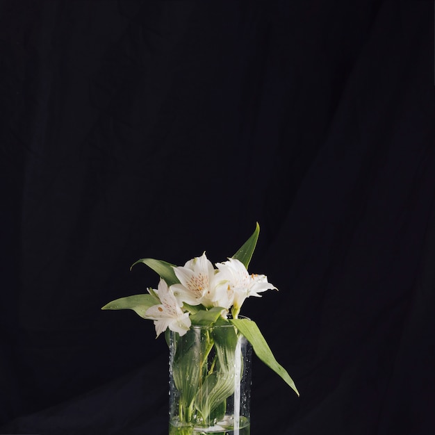 Mazzo di bei fiori bianchi freschi in vaso