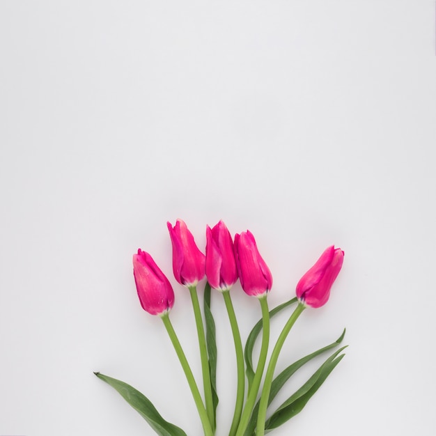 Mazzo di fiori rosa su steli verdi