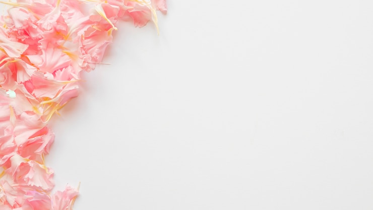 Foto gratuito mazzo di petali rosa