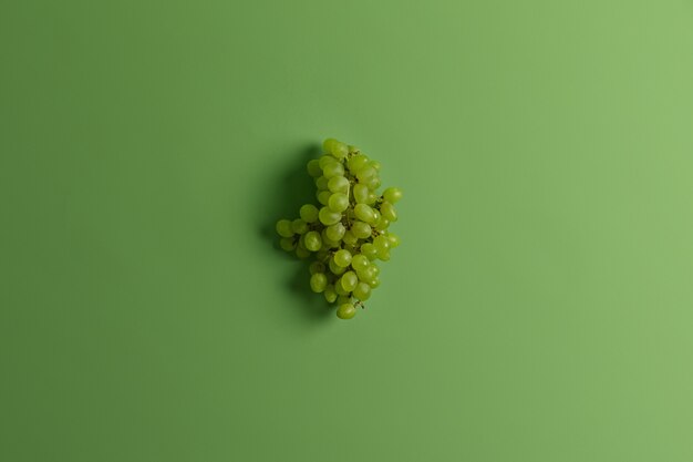 Mazzo di uva moscato verde delizioso per la produzione di vino o succo di frutta. Frutta ricca di stagione molto apprezzata. Colpo monocromatico. Messa a fuoco selettiva. Spazio per il tuo testo. Mangiare sano, concetto di cibo