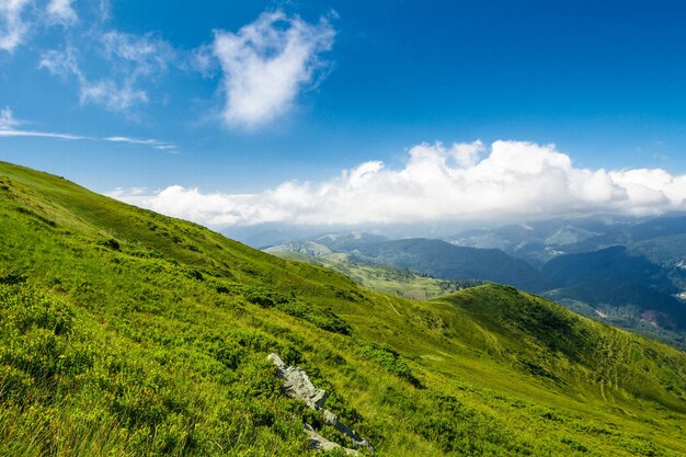 Meraviglioso paesaggio delle montagne dei Carpazi ucraini