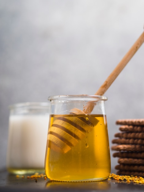 Merlo acquaiolo del miele nel vaso del miele con i biscotti contro fondo grigio