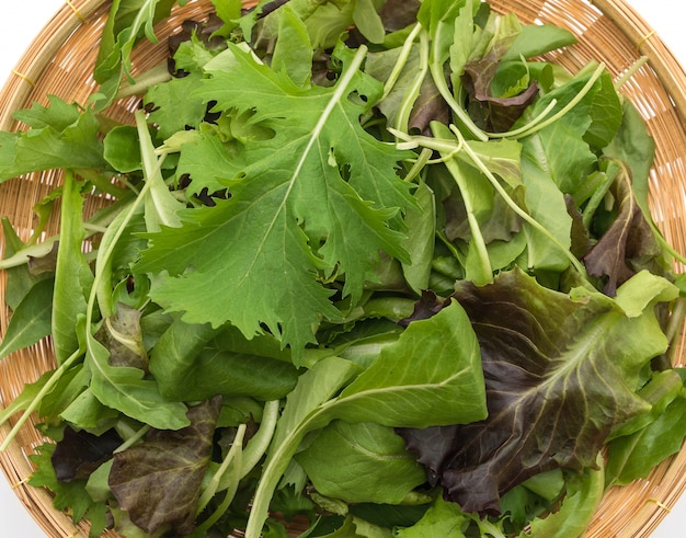 Mescolare l&#39;insalata con rucola, frisone, radicchio e lattuga di agnello