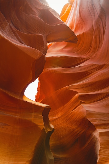 Metraggio della natura del Grand Canyon in Arizona USA