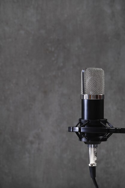 Microfono su grigio