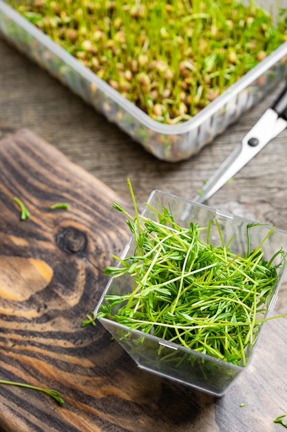 Microgreens. Germogli di lenticchia su un fondo di legno.