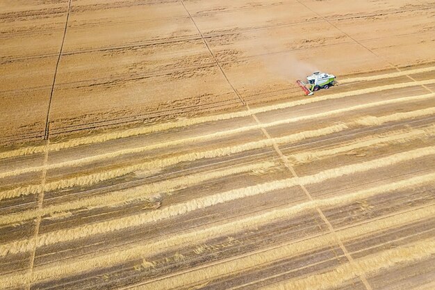 Mietitrebbia lavorando su un campo di grano. Mietitrebbia Vista aerea.