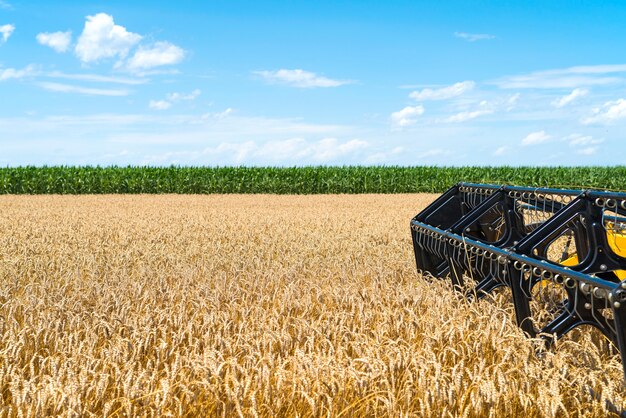 Mietitrebbiatrice lavorando nel campo