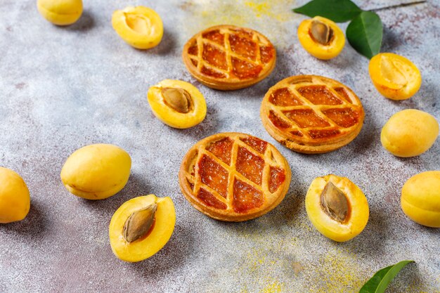 Mini torta o crostate rustiche casalinghe dell'albicocca con i frutti freschi dell'albicocca.