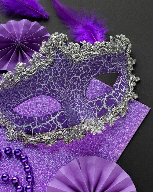 Misteriosa maschera di carnevale viola