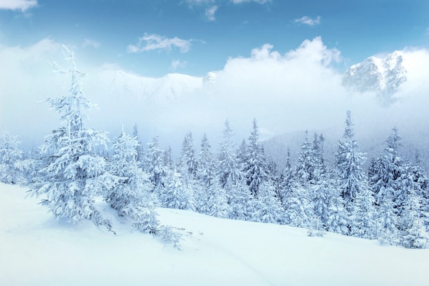 Misterioso paesaggio invernale maestose montagne in inverno.