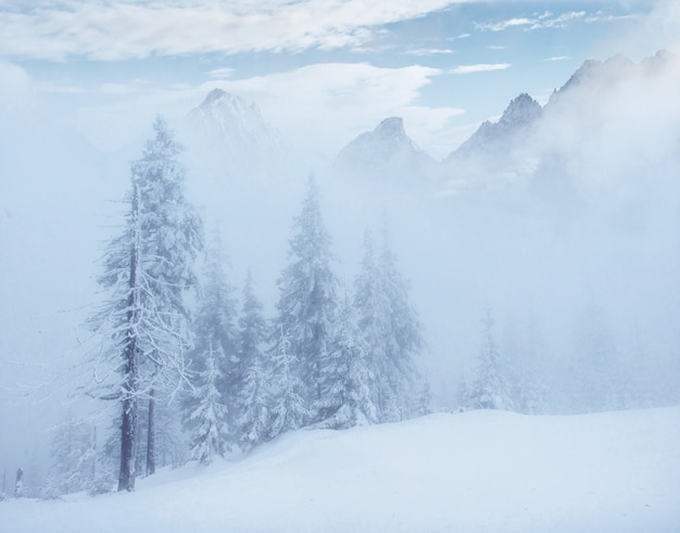 Misterioso paesaggio invernale maestose montagne in inverno.