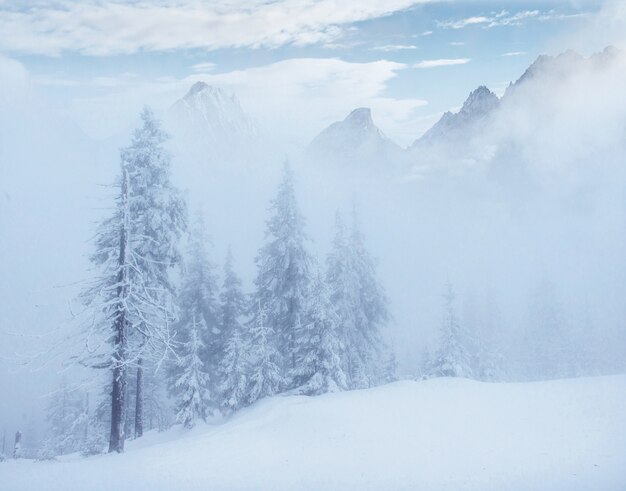 Misterioso paesaggio invernale maestose montagne in inverno.