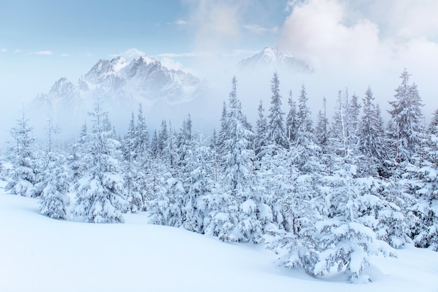 Misterioso paesaggio invernale maestose montagne in inverno.