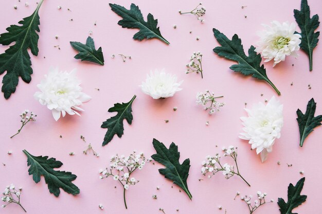 Modello creativo di fiori sul rosa