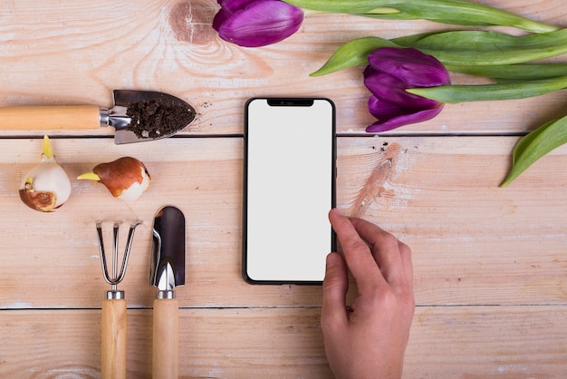 Modello di smartphone con il concetto di giardinaggio