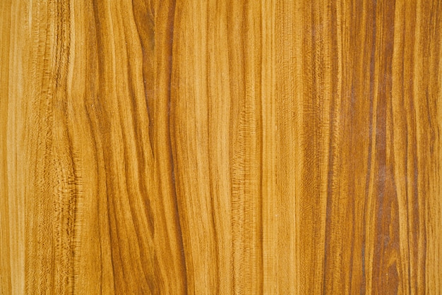 modello sporco macro legno di legno