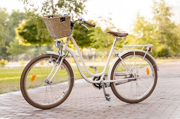 Moderna bicicletta ecologica