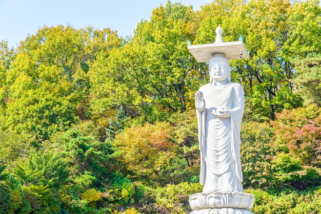 moderno buddismo orizzonte Corea del Sud